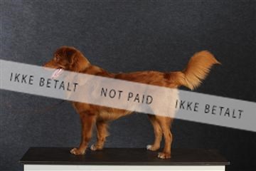 132082_le_ 01_IMG_0881.JPG