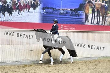182241_kbb_01_Z095207.JPG