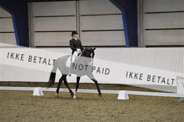 140040_abo_02__AB19649.JPG