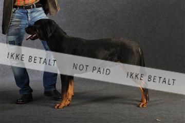 132082_le_ 01_IMG_0804.JPG