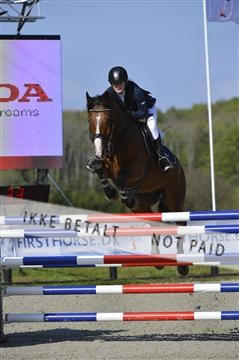139644_abo_02__AB14501.JPG