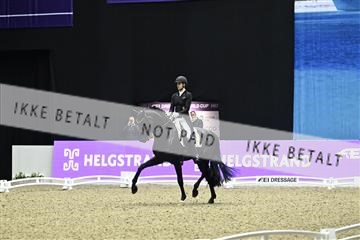 182194_kbb_03_Z092092.JPG
