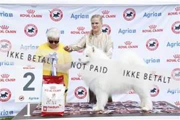 181564_kar_01__62_7167.JPG