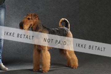 132082_le_ 01_IMG_0440.JPG