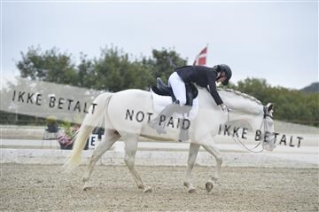 169624_kbb_01__KBB8143.JPG