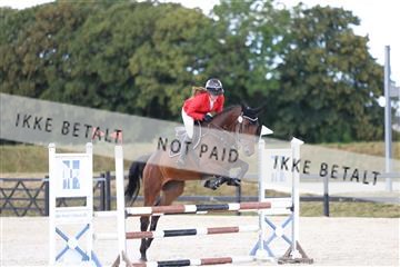 181755_tbj_01R62_2611.JPG