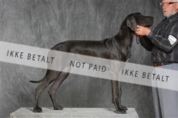 130054_le_ 03_0418.JPG