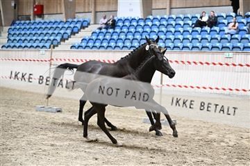 181754_kbb_01_Z093414.JPG