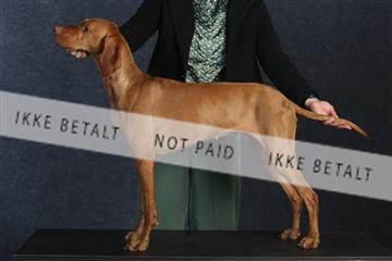 132082_le_ 01_IMG_0701.JPG