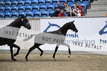 181957_kbb_01_Z097830.JPG