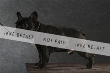 132082_le_ 01_IMG_1516.JPG