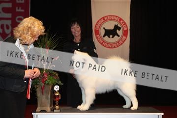 126827_tl_02_IMG_2838.JPG