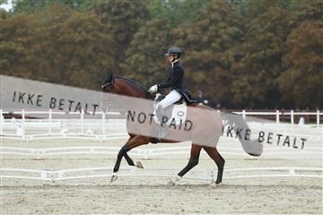 181923_mtp_03_R62_7801.JPG