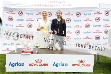 182009_kar_01__62_5091.JPG