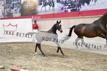 181754_kbb_01_Z092764.JPG