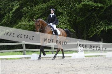 139898_ms_01__MS28095.JPG