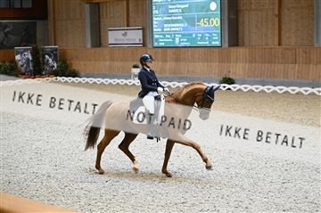 182176_kbb_01_Z093908.JPG