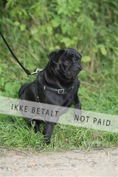 130370_se_01_IMG_5402.JPG