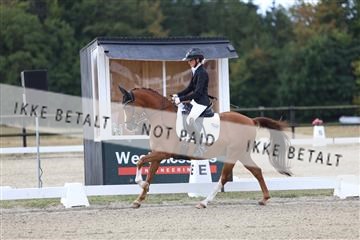 181894_mtp_01_R62_0197.JPG