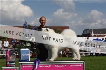 130370_se_03_IMG_7686.JPG