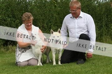 130370_le_02_IMG_8199.JPG