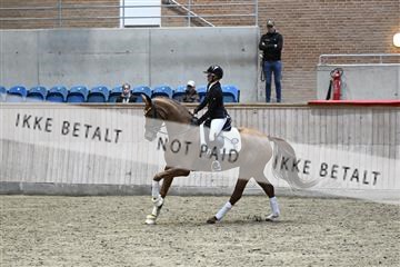 182241_kbb_01_Z093797.JPG