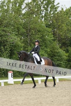 139835_sg_02_IMG_8392.JPG