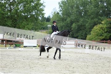 181923_mtp_01_R62_6837.JPG
