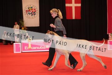 126827_tl_04_IMG_0134.JPG