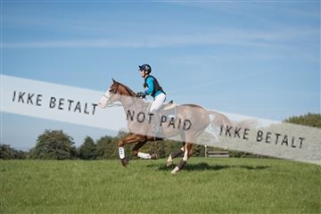 2019 Copenhagen Eventing Ulrika Bladh Tipphex 163761_KNF_01_KEE_299.jpg