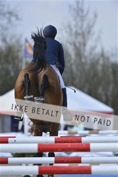 139644_abo_01__AB13749.JPG