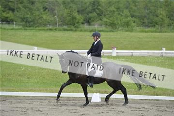 140040_abo_01__AB16995.JPG