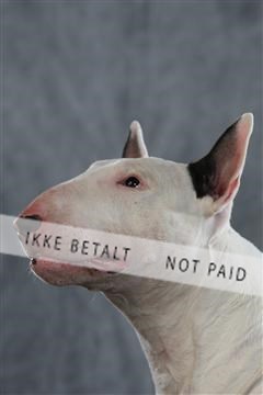 128239_le_kort_ 01_0287.JPG