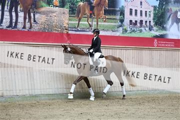 181887_mtp_04_R62_8623.JPG