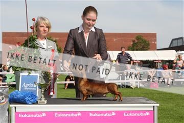 130370_se_02_IMG_6504.JPG