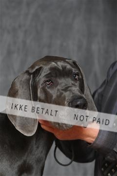 130054_le_ 03_0421.JPG