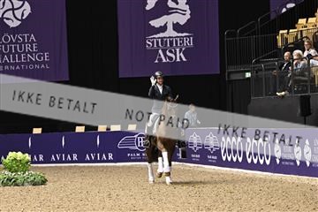 182194_kbb_03_Z090967.JPG