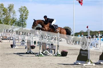 181436_avh_02_3701.JPG
