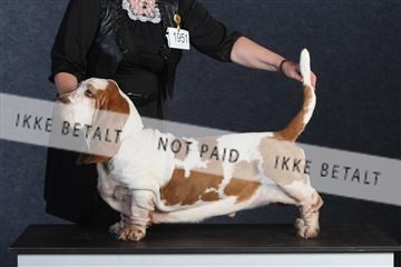 132082_le_ 01_IMG_0717.JPG