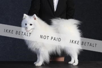 132082_le_ 01_IMG_0454.JPG