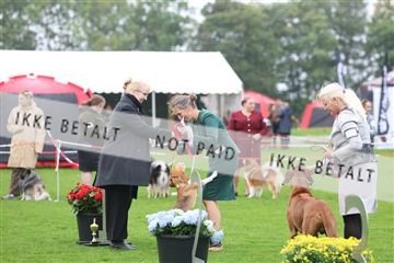182009_rin_02_R62_2675.JPG
