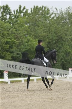 139835_sg_02_IMG_8933.JPG