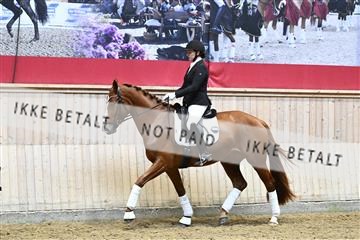 182241_kbb_01_Z093676.JPG