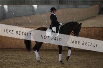 139206_kl_1_8M1Q5396.JPG