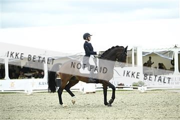 181449_kbb_03_Z091741.JPG