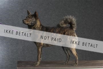 132082_le_ 01_IMG_0123.JPG