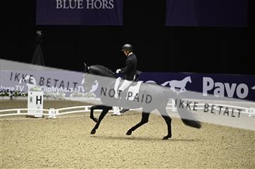 182194_kbb_01_Z095135.JPG