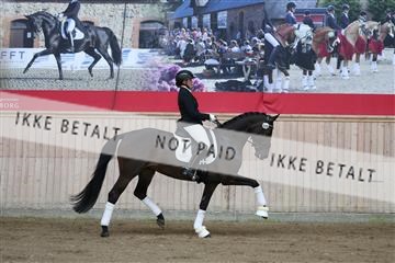 181887_mtp_02_R62_7377.JPG