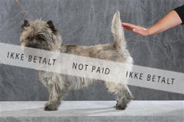 130054_le_ 03_0053.JPG