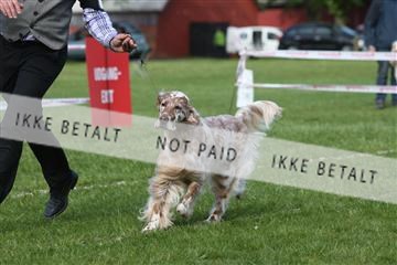 134871_ms_04_IMG_1672.JPG